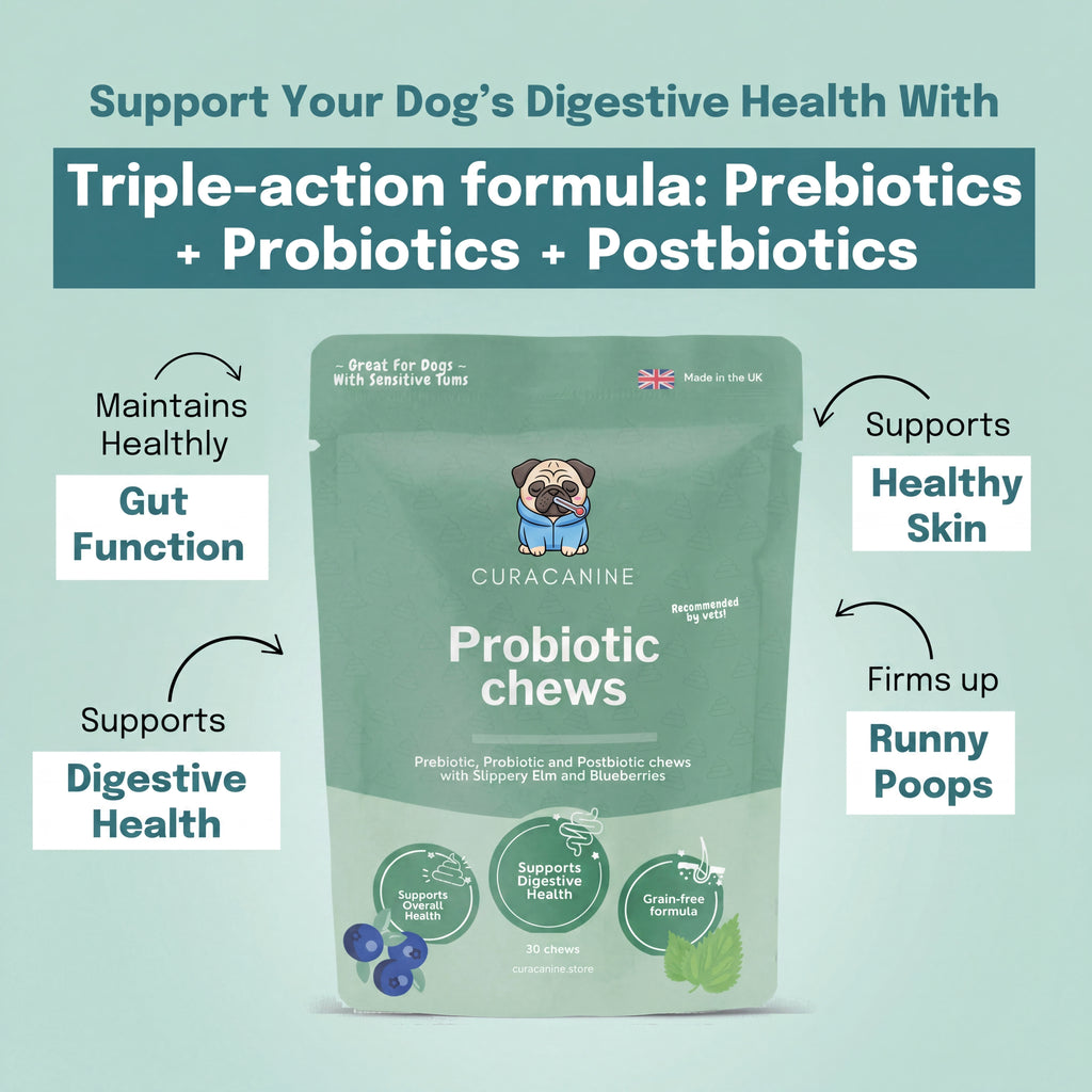Probiotics pack - 30 chews